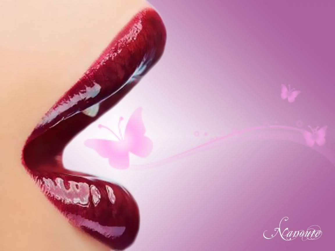 ws_Butterfly_lips_1152x864.jpg