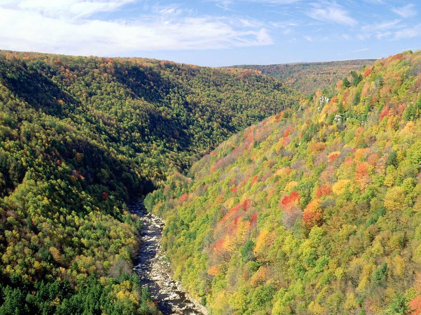 BlackwaterRiverFromPendletonOverloo.jpg