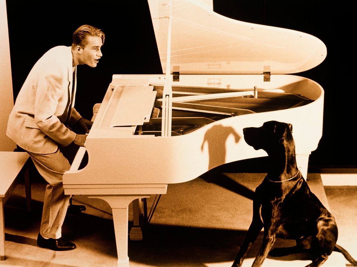 CanineConcerto.jpg
