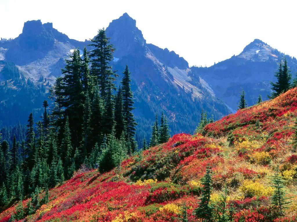 Mountains_007.jpg