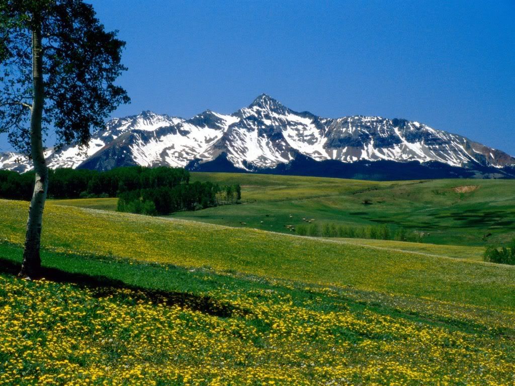 Mountains_009.jpg