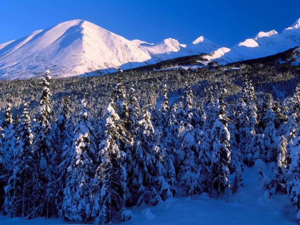 Mountains_020.jpg