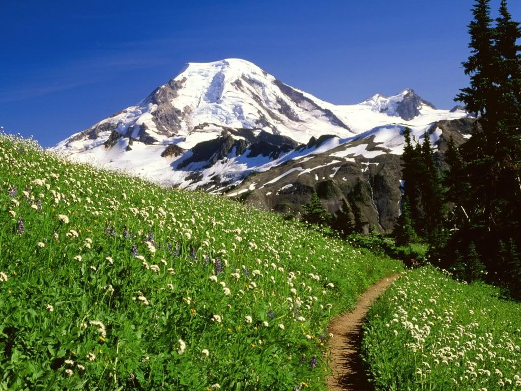 Mountains_033.jpg