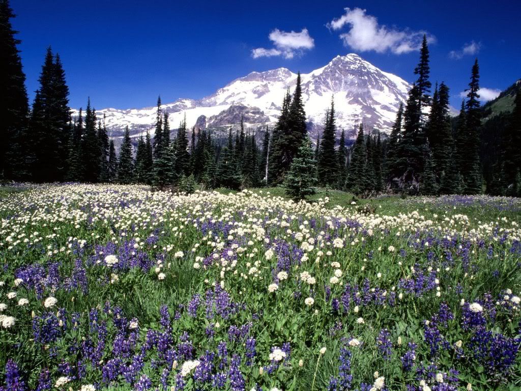Mountains_070.jpg