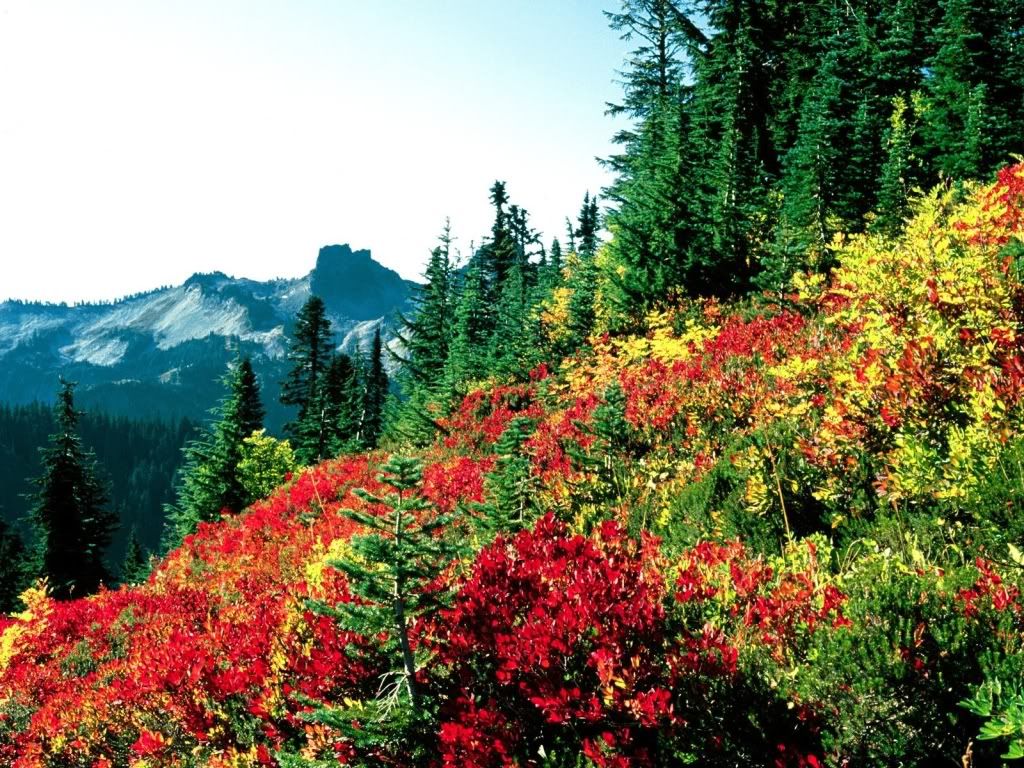 Mountains_074.jpg