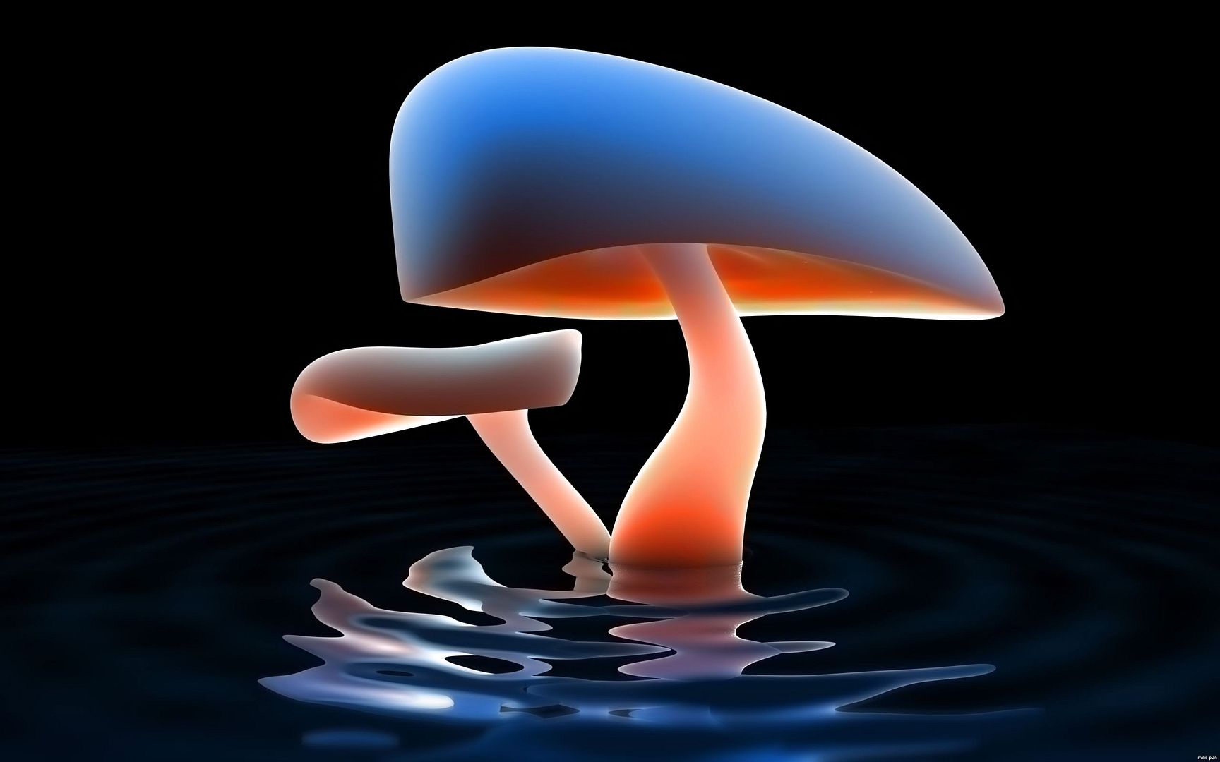 Mushroom_Lake_2560x1600widescreen.jpg