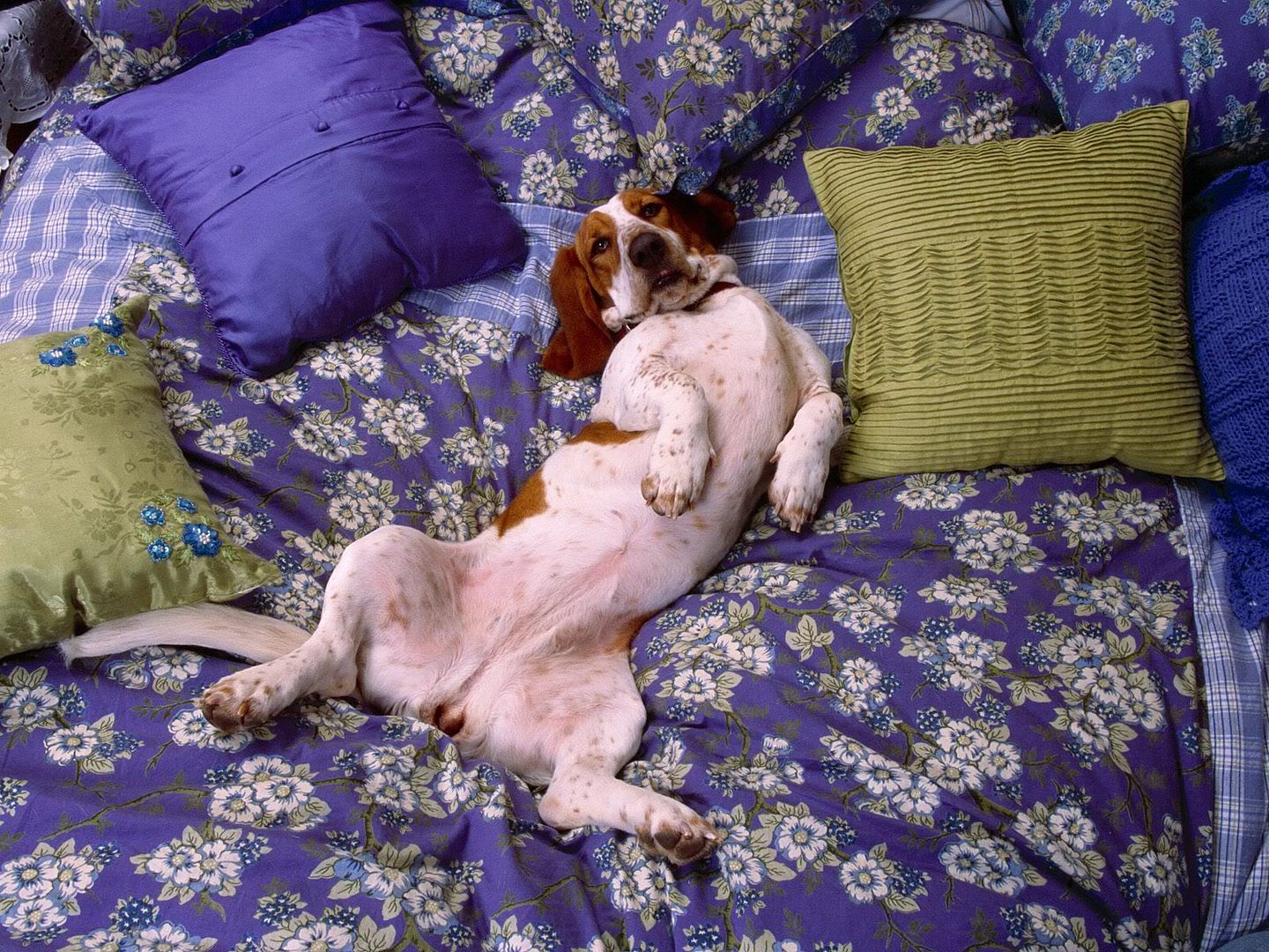 RelaxGetComfy.jpg