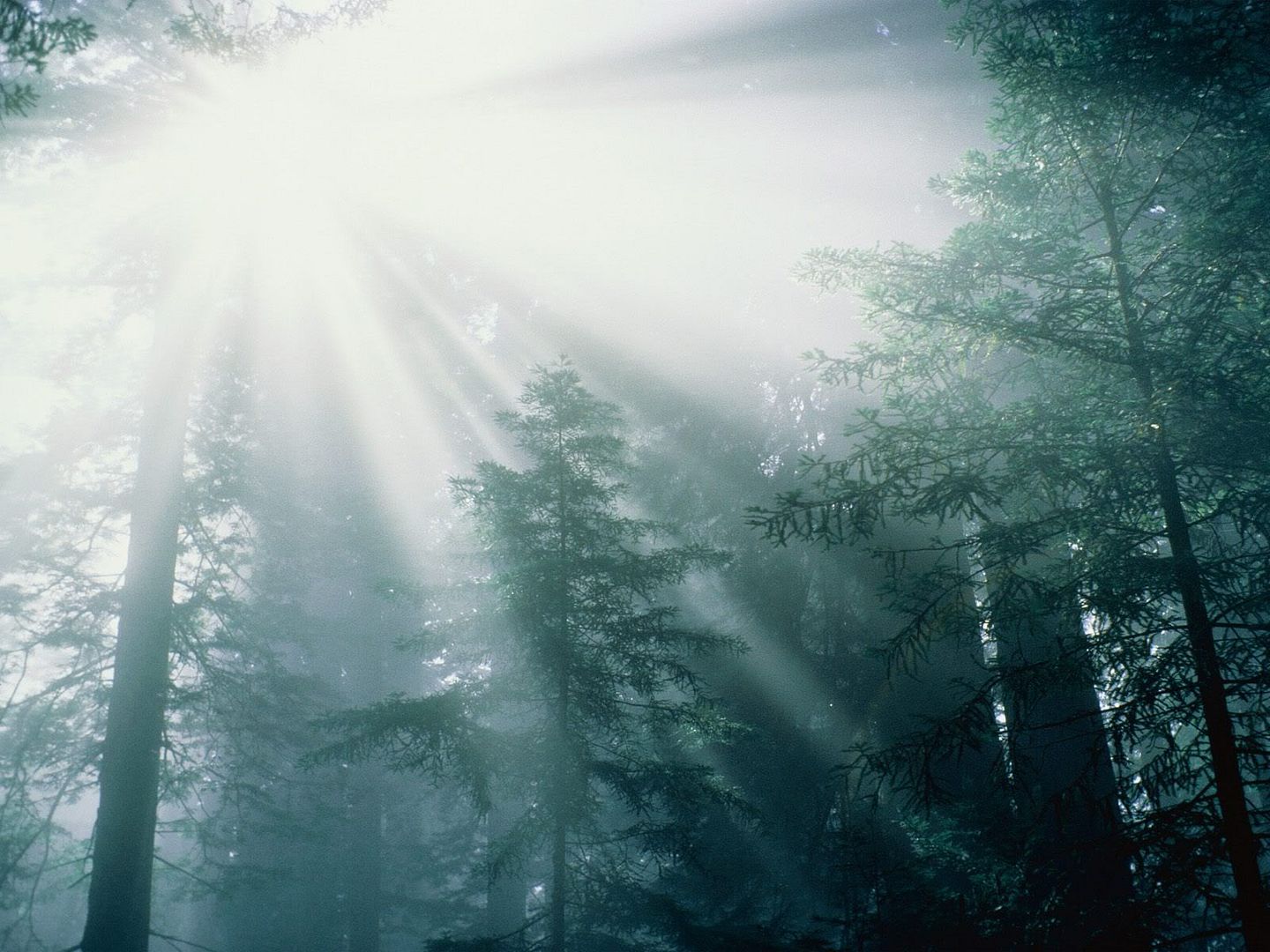 Tranquility-1600x1200-ID12241.jpg