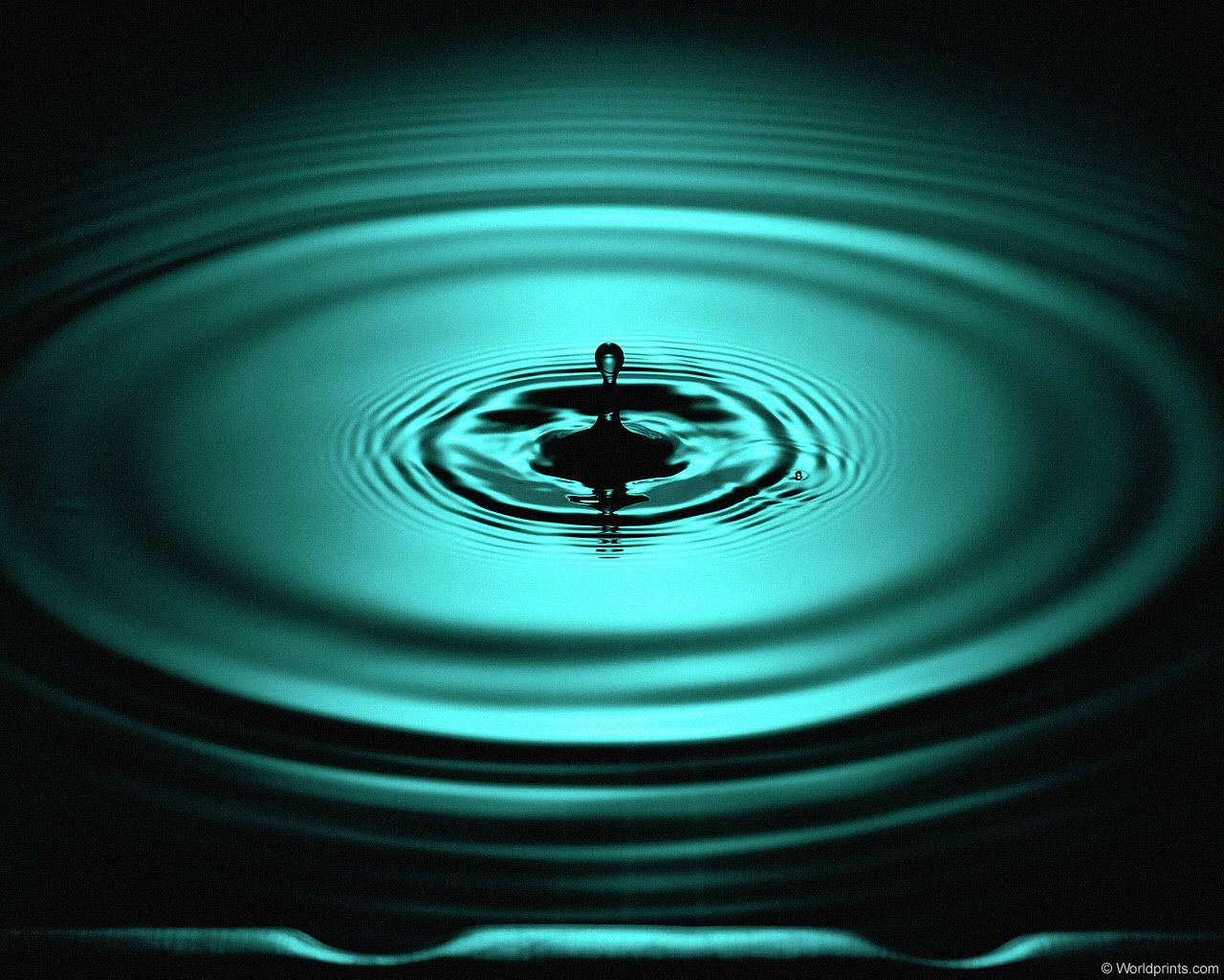 water_drops.jpg