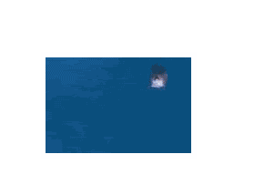 y1pfgienuvurtxm8l9cx1niwq6.gif
