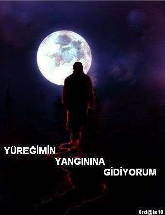 yangn.jpg