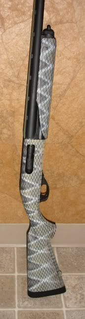 snakeskin870.jpg