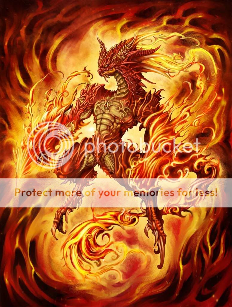 fire dragon Pictures, Images and Photos