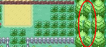 [PokeCommunity.com] Pokemon: Legendary Battle!!