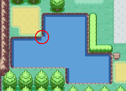 [PokeCommunity.com] Pokemon: Legendary Battle!!